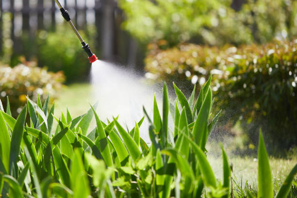 24/7 Emergency Wasp Removal experts in Artondale, WA