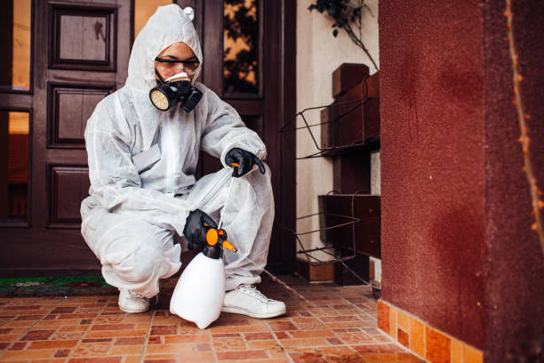 Reliable Wasp Removal contractor in Artondale, WA by Show Me Pest Control